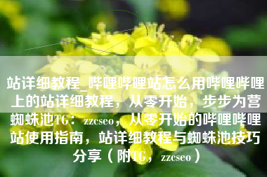 站详细教程_哔哩哔哩站怎么用哔哩哔哩上的站详细教程，从零开始，步步为营蜘蛛池TG：zzcseo，从零开始的哔哩哔哩站使用指南，站详细教程与蜘蛛池技巧分享（附TG，zzcseo）