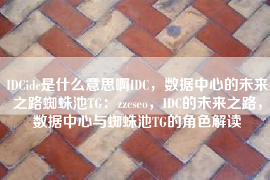 IDCidc是什么意思啊IDC，数据中心的未来之路蜘蛛池TG：zzcseo，IDC的未来之路，数据中心与蜘蛛池TG的角色解读