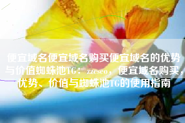 便宜域名便宜域名购买便宜域名的优势与价值蜘蛛池TG：zzcseo，便宜域名购买，优势、价值与蜘蛛池TG的使用指南