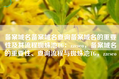 备案域名备案域名查询备案域名的重要性及其流程蜘蛛池TG：zzcseo，备案域名的重要性、查询流程与蜘蛛池TG，zzcseo