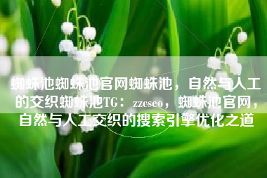 蜘蛛池蜘蛛池官网蜘蛛池，自然与人工的交织蜘蛛池TG：zzcseo，蜘蛛池官网，自然与人工交织的搜索引擎优化之道