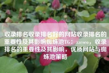 收录排名收录排名好的网站收录排名的重要性及其影响蜘蛛池TG：zzcseo，收录排名的重要性及其影响，优质网站与蜘蛛池策略
