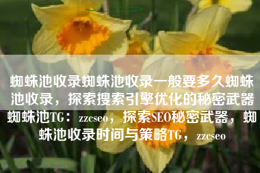 蜘蛛池收录蜘蛛池收录一般要多久蜘蛛池收录，探索搜索引擎优化的秘密武器蜘蛛池TG：zzcseo，探索SEO秘密武器，蜘蛛池收录时间与策略TG，zzcseo