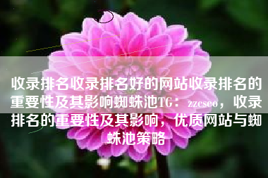 收录排名收录排名好的网站收录排名的重要性及其影响蜘蛛池TG：zzcseo，收录排名的重要性及其影响，优质网站与蜘蛛池策略