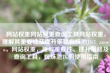 网站权重网站权重查询工具网站权重，理解其重要性及提升策略蜘蛛池TG：zzcseo，网站权重，理解重要性、提升策略及查询工具，蜘蛛池TG的使用指南