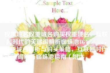 权重域名权重域名购买权重域名，互联网时代的关键词解析蜘蛛池TG：zzcseo，权重域名解析与购买策略，互联网时代关键词解析蜘蛛池指南（附TG，zzcseo）