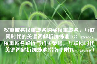 权重域名权重域名购买权重域名，互联网时代的关键词解析蜘蛛池TG：zzcseo，权重域名解析与购买策略，互联网时代关键词解析蜘蛛池指南（附TG，zzcseo）