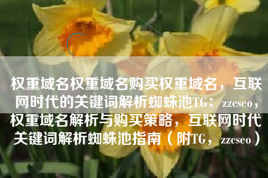 权重域名权重域名购买权重域名，互联网时代的关键词解析蜘蛛池TG：zzcseo，权重域名解析与购买策略，互联网时代关键词解析蜘蛛池指南（附TG，zzcseo）