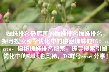 蜘蛛排名最厉害的蜘蛛排名蜘蛛排名，探寻搜索引擎优化中的秘密蜘蛛池TG：zzcseo，揭秘蜘蛛排名秘密，探寻搜索引擎优化中的蜘蛛池奥秘，TG群号zzcseo分享！