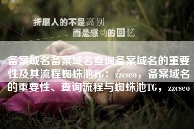 备案域名备案域名查询备案域名的重要性及其流程蜘蛛池TG：zzcseo，备案域名的重要性、查询流程与蜘蛛池TG，zzcseo