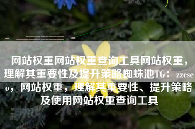 网站权重网站权重查询工具网站权重，理解其重要性及提升策略蜘蛛池TG：zzcseo，网站权重，理解其重要性、提升策略及使用网站权重查询工具