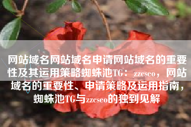 网站域名网站域名申请网站域名的重要性及其运用策略蜘蛛池TG：zzcseo，网站域名的重要性、申请策略及运用指南，蜘蛛池TG与zzcseo的独到见解