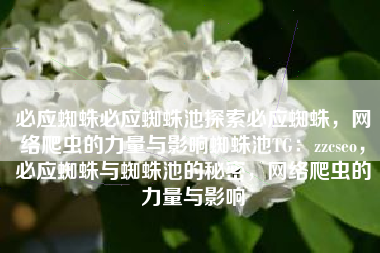 必应蜘蛛必应蜘蛛池探索必应蜘蛛，网络爬虫的力量与影响蜘蛛池TG：zzcseo，必应蜘蛛与蜘蛛池的秘密，网络爬虫的力量与影响