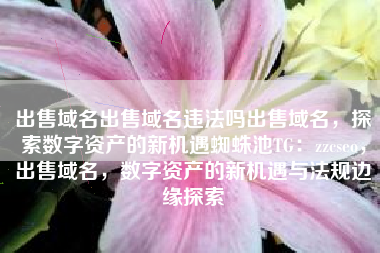 出售域名出售域名违法吗出售域名，探索数字资产的新机遇蜘蛛池TG：zzcseo，出售域名，数字资产的新机遇与法规边缘探索