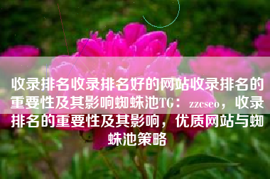 收录排名收录排名好的网站收录排名的重要性及其影响蜘蛛池TG：zzcseo，收录排名的重要性及其影响，优质网站与蜘蛛池策略