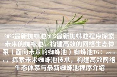 2025最新蜘蛛池2025最新蜘蛛池程序探索未来的蜘蛛池，构建高效的网络生态体系（面向未来的蜘蛛池）蜘蛛池TG：zzcseo，探索未来蜘蛛池技术，构建高效网络生态体系与最新蜘蛛池程序介绍