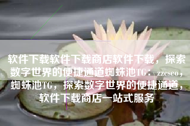 软件下载软件下载商店软件下载，探索数字世界的便捷通道蜘蛛池TG：zzcseo，蜘蛛池TG，探索数字世界的便捷通道，软件下载商店一站式服务