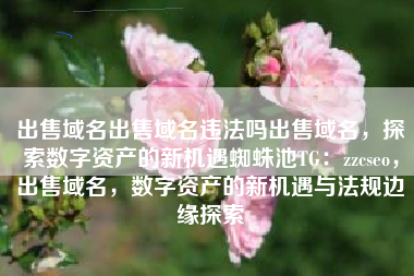 出售域名出售域名违法吗出售域名，探索数字资产的新机遇蜘蛛池TG：zzcseo，出售域名，数字资产的新机遇与法规边缘探索