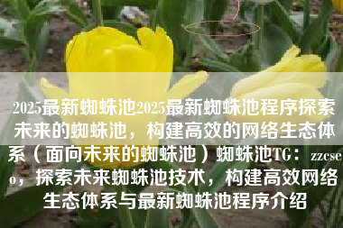 2025最新蜘蛛池2025最新蜘蛛池程序探索未来的蜘蛛池，构建高效的网络生态体系（面向未来的蜘蛛池）蜘蛛池TG：zzcseo，探索未来蜘蛛池技术，构建高效网络生态体系与最新蜘蛛池程序介绍