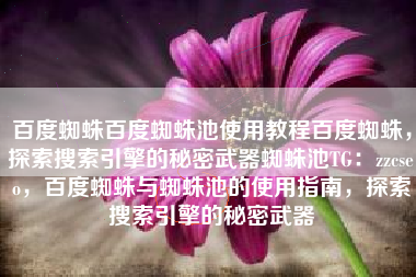 百度蜘蛛百度蜘蛛池使用教程百度蜘蛛，探索搜索引擎的秘密武器蜘蛛池TG：zzcseo，百度蜘蛛与蜘蛛池的使用指南，探索搜索引擎的秘密武器