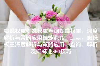 蜘蛛权重蜘蛛权重查询蜘蛛权重，深度解析与策略应用蜘蛛池TG：zzcseo，蜘蛛权重深度解析与策略应用，查询、解析及蜘蛛池SEO技巧