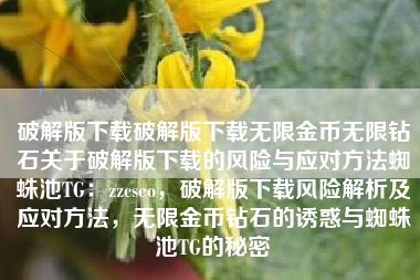 破解版下载破解版下载无限金币无限钻石关于破解版下载的风险与应对方法蜘蛛池TG：zzcseo，破解版下载风险解析及应对方法，无限金币钻石的诱惑与蜘蛛池TG的秘密