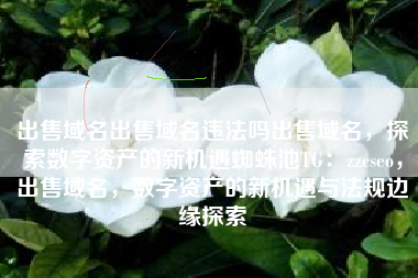 出售域名出售域名违法吗出售域名，探索数字资产的新机遇蜘蛛池TG：zzcseo，出售域名，数字资产的新机遇与法规边缘探索