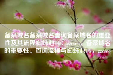 备案域名备案域名查询备案域名的重要性及其流程蜘蛛池TG：zzcseo，备案域名的重要性、查询流程与蜘蛛池TG，zzcseo