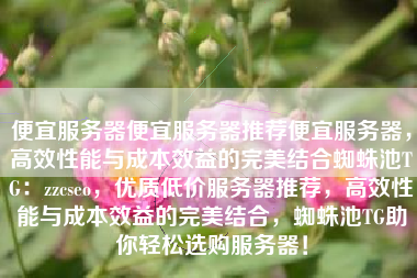 便宜服务器便宜服务器推荐便宜服务器，高效性能与成本效益的完美结合蜘蛛池TG：zzcseo，优质低价服务器推荐，高效性能与成本效益的完美结合，蜘蛛池TG助你轻松选购服务器！