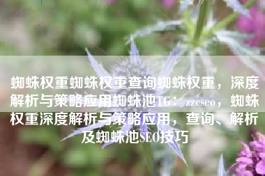 蜘蛛权重蜘蛛权重查询蜘蛛权重，深度解析与策略应用蜘蛛池TG：zzcseo，蜘蛛权重深度解析与策略应用，查询、解析及蜘蛛池SEO技巧