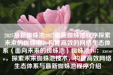 2025最新蜘蛛池2025最新蜘蛛池程序探索未来的蜘蛛池，构建高效的网络生态体系（面向未来的蜘蛛池）蜘蛛池TG：zzcseo，探索未来蜘蛛池技术，构建高效网络生态体系与最新蜘蛛池程序介绍