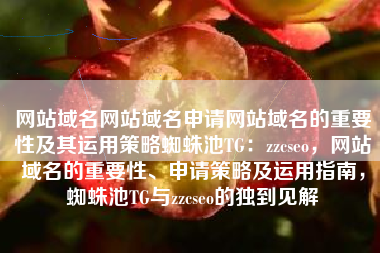 网站域名网站域名申请网站域名的重要性及其运用策略蜘蛛池TG：zzcseo，网站域名的重要性、申请策略及运用指南，蜘蛛池TG与zzcseo的独到见解