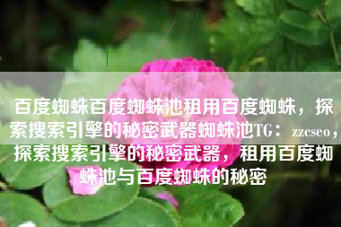 百度蜘蛛百度蜘蛛池租用百度蜘蛛，探索搜索引擎的秘密武器蜘蛛池TG：zzcseo，探索搜索引擎的秘密武器，租用百度蜘蛛池与百度蜘蛛的秘密