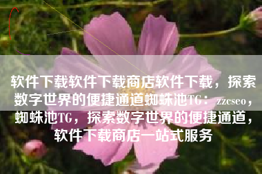 软件下载软件下载商店软件下载，探索数字世界的便捷通道蜘蛛池TG：zzcseo，蜘蛛池TG，探索数字世界的便捷通道，软件下载商店一站式服务