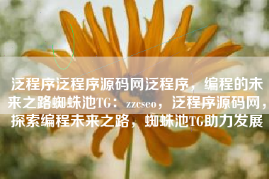 泛程序泛程序源码网泛程序，编程的未来之路蜘蛛池TG：zzcseo，泛程序源码网，探索编程未来之路，蜘蛛池TG助力发展