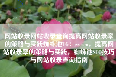 网站收录网站收录查询提高网站收录率的策略与实践蜘蛛池TG：zzcseo，提高网站收录率的策略与实践，蜘蛛池SEO技巧与网站收录查询指南