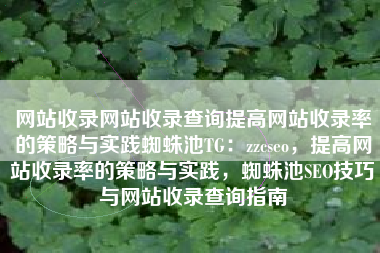 网站收录网站收录查询提高网站收录率的策略与实践蜘蛛池TG：zzcseo，提高网站收录率的策略与实践，蜘蛛池SEO技巧与网站收录查询指南