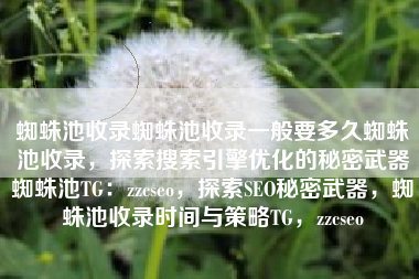 蜘蛛池收录蜘蛛池收录一般要多久蜘蛛池收录，探索搜索引擎优化的秘密武器蜘蛛池TG：zzcseo，探索SEO秘密武器，蜘蛛池收录时间与策略TG，zzcseo