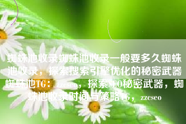 蜘蛛池收录蜘蛛池收录一般要多久蜘蛛池收录，探索搜索引擎优化的秘密武器蜘蛛池TG：zzcseo，探索SEO秘密武器，蜘蛛池收录时间与策略TG，zzcseo