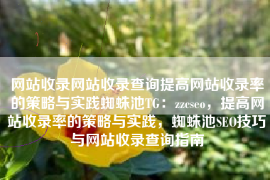 网站收录网站收录查询提高网站收录率的策略与实践蜘蛛池TG：zzcseo，提高网站收录率的策略与实践，蜘蛛池SEO技巧与网站收录查询指南