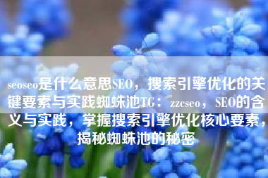 seoseo是什么意思SEO，搜索引擎优化的关键要素与实践蜘蛛池TG：zzcseo，SEO的含义与实践，掌握搜索引擎优化核心要素，揭秘蜘蛛池的秘密