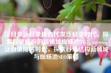 泛目录泛目录排名代发泛目录时代，探索目录结构的新领域蜘蛛池TG：zzcseo，泛目录排名时代，探索目录结构新领域与蜘蛛池SEO策略