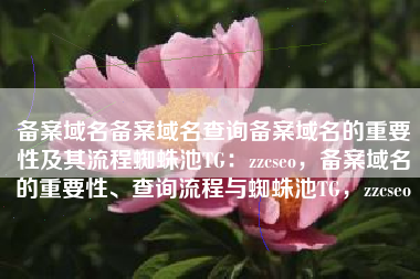 备案域名备案域名查询备案域名的重要性及其流程蜘蛛池TG：zzcseo，备案域名的重要性、查询流程与蜘蛛池TG，zzcseo