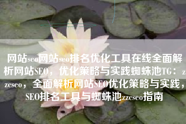 网站seo网站seo排名优化工具在线全面解析网站SEO，优化策略与实践蜘蛛池TG：zzcseo，全面解析网站SEO优化策略与实践，SEO排名工具与蜘蛛池zzcseo指南