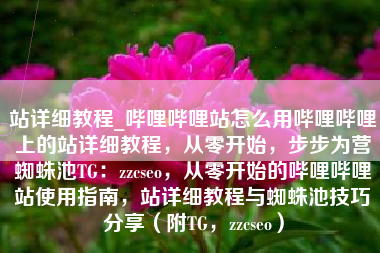 站详细教程_哔哩哔哩站怎么用哔哩哔哩上的站详细教程，从零开始，步步为营蜘蛛池TG：zzcseo，从零开始的哔哩哔哩站使用指南，站详细教程与蜘蛛池技巧分享（附TG，zzcseo）
