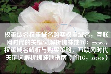 权重域名权重域名购买权重域名，互联网时代的关键词解析蜘蛛池TG：zzcseo，权重域名解析与购买策略，互联网时代关键词解析蜘蛛池指南（附TG，zzcseo）