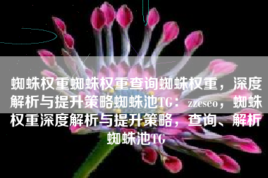 蜘蛛权重蜘蛛权重查询蜘蛛权重，深度解析与提升策略蜘蛛池TG：zzcseo，蜘蛛权重深度解析与提升策略，查询、解析蜘蛛池TG