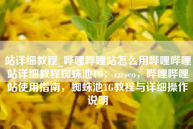 站详细教程_哔哩哔哩站怎么用哔哩哔哩站详细教程蜘蛛池TG：zzcseo，哔哩哔哩站使用指南，蜘蛛池TG教程与详细操作说明
