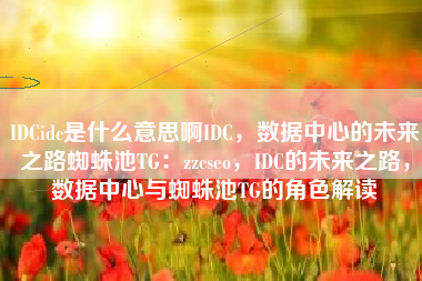 IDCidc是什么意思啊IDC，数据中心的未来之路蜘蛛池TG：zzcseo，IDC的未来之路，数据中心与蜘蛛池TG的角色解读