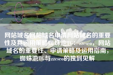 网站域名网站域名申请网站域名的重要性及其运用策略蜘蛛池TG：zzcseo，网站域名的重要性、申请策略及运用指南，蜘蛛池TG与zzcseo的独到见解